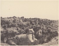 Karnak (Thèbes), Sphinx a Tête Humaine et a Tête de Bélier, en Y by Félix Teynard