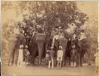 Four Elephants with Western Travellers and Attendants, Jaipur, India by Unknown