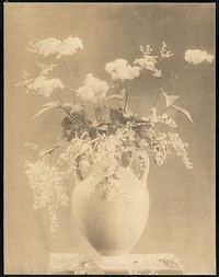 Vase of Flowers by Unknown