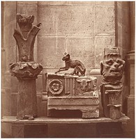 Le Chat Momifié (trouvé dans les fouilles de Saint-Germain-en-Laye) by Charles Marville