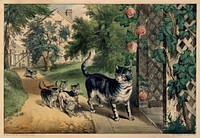 Pussy's Return published and printed by Currier & Ives