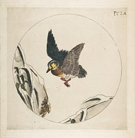 Decoration for a Plate: A Duck flying over Snow-covered Branches by Félix Bracquemond