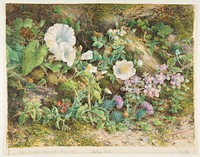 Flower Study by John Jessop Hardwick (British, London 1831–1917)