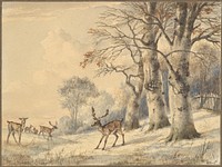 Deer under Beech Trees in Summer by Hendrik Gerrit ten Cate