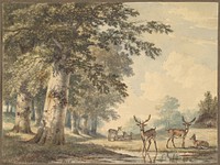 Deer under Beech Trees in Winter by Hendrik Gerrit ten Cate