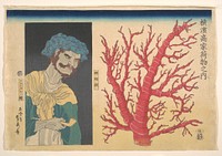 Stick of Coral and a Portrait of South Sea Islander by Utagawa (Gountei) Sadahide