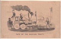 Fate of the Radical Party