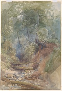 A Stream Near Clovelly, North Devonby John Middleton