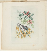 Plate, from New Suite of Notebooks of Ideal Flowers for Use by Draftsmen and Painters by Anne Allen