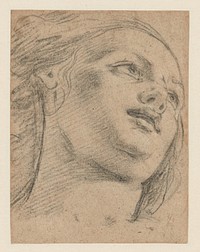 Female Head Study Looking Up to Right (recto); Study of Two Figures Supporting an Object (verso) by School of Guido Reni