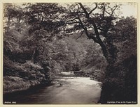 Ivy Bridge, View on the Prysor River by Francis Bedford