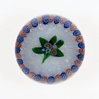 Paperweight by Compagnie de Saint Louis