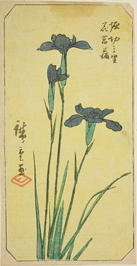 Iris at Horikiri Village (Horikiri no sato hanashobu), section of a sheet from the series "Cutout Pictures of Famous Places in Edo (Edo meisho harimaze zue)" by Utagawa Hiroshige