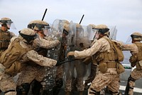 U.S. Marines with Fox Company, Battalion Landing Team, 2nd Battalion, 1st Marines, 11th Marine Expeditionary Unit, practice riot control techniques aboard the amphibious assault ship USS Makin Island (LHD 8) during Amphibious Squadron Marine Expeditionary Unit Integration Training off the coast of San Diego April 11, 2014.