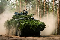 Lithuanian and Portuguese forces are teamed up with U.S. Marines with the Black Sea Rotational Force for Exercise Saber Strike at the Pabrade Training Area, Lithuania, June 11, 2015.