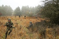 Dutch Soldiers of 112th Armored Engineering Company, 45th Mechanized Infantry Battalion, 43rd Mechanized Brigade advance on a simulated enemy's location while conducting an area reconnaissance mission during exercise Combined Resolve V at the U.S. Army’s Joint Multinational Readiness Center in Hohenfels, Germany, Oct. 28, 2015.