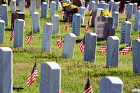 Fort Sill Post Cemetery was decorated with American flags by members of the Fort Sill Chapter of the Sergeant Audie Murphy Club for Memorial Day, 2016. Original public domain image from Flickr