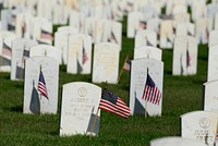 Fort Sill Post Cemetery was decorated with American flags by members of the Fort Sill Chapter of the Sergeant Audie Murphy Club for Memorial Day, 2016. Original public domain image from Flickr