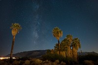 Oasis of Mara at Night