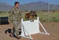 U.S. Army Pfc. Austin Vecciarelli, assigned to the 513th Military Police Detachment, 93rd Military Police Battalion, guides Joker, a patrol explosive detection dog, through the obstacle course at the detachment's K-9 kennel at Fort Bliss Aug. 26, 2016.