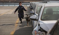 K-9 officers with the U.S. Customs and Border Protection Office of Field Operations conduct a training exercise at the Port of Baltimore in Baltimore, Md., Feb 8, 2017.