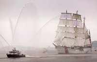 Tall ships sail into the Port of Boston, Ma., in single file as they participate in a parade of ships during the Sail Boston 2017 event, June 17, 2017.