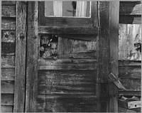 Children Living in a Camp Between Weedpatch and Lamont, Kern County, California. Original public domain image from Flickr