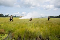 U.S. Marines with the 1st Battalion, 6th Marine Regiment, 2nd Marine Division, maneuver through the Company Battle Course during a live-fire range at Range G-6, Camp Lejeune, N.C., July 12, 2017.