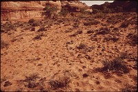Newly Incorporated Into Canyonlands National Park, the Maze Is Available to Grazing Cattle for the Next Few Years, 05/1972. Original public domain image from Flickr