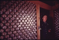 Empty Steel Beer and Soft Drink Cans Are Being Used to Build Experimental Housing near Taos, New Mexico. Designer Michael Reynolds Stands Next to an Interior Wall in One of the Structures. The Inside Walls Are Built with Cans in the Position Shown. Original public domain image from Flickr