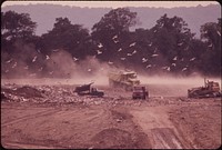 Dump Trucks, Earthmovers and Seagulls at the Croton Landfill Operation 08/1973. Photographer: Blanche, Wil. Original public domain image from Flickr