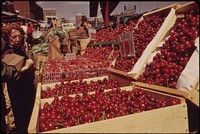 Outdoor Market at Haymarket Square. Public Protest Kept the Square from Becoming Part of an Expressway 05/1973. Photographer: Halberstadt, Ernst, 1910-1987. Original public domain image from Flickr