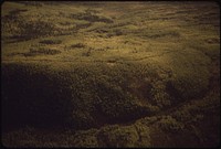 A View West Into Typical Interior Forest. Pipeline Route Runs through the Cut in the Forest, Right to Left, North to South, Along the Crest of the Ridge 08/1973. Photographer: Cowals, Dennis. Original public domain image from Flickr