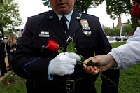 A police officer grabs a rose as he returns to the line of family escorts at the start of the 31st Annual Candlelight Vigil held on the National Mall in Washington, D.C., May 13, 2019, to honor 371 law enforcement officers who died in the line of duty last year.