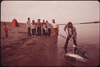 While Spectators Gather, a 22-Pound Silver Salmon, Caught by This Columbia River Sports Fisherman, Is Brought Ashore 04/1973. Photographer: Falconer, David. Original public domain image from Flickr
