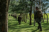 Marines with Fox Company, Battalion Landing Team, 2nd Battalion, 5th Marines, patrol during a simulated helicopter raid as part of the 31st Marine Expeditionary Unit’s MEU Exercise at Ie Shima Training Facility, Okinawa, Japan, June 25, 2018.
