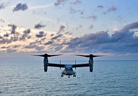 A U.S. Marine Corps MV-22 Osprey, assigned to the 'Flying Tigers' of Marine Medium Tiltrotor Squadron (VMM) 262 reinforced, approaches the amphibious assault ship USS Wasp (LHD 1) in the East China Sea October 21, 2018.