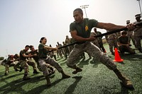 U.S. Marines and Sailors with Naval Amphibious Force, Task Force 51/5th Marine Expeditionary Brigade, compete with British military service members in a tug-of-war during an athletic sporting event hosted to build comradery and teamwork between U.S. troops and British military counterparts at Naval Support Activity Bahrain Jan 24, 2019.