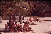 Palm-Shaded Beach at the Southernmost Point of the United States. Photographer: Schulke, Flip, 1930-2008. Original public domain image from Flickr