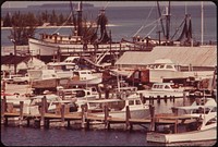At the Commercial Fishing Docks. Photographer: Schulke, Flip, 1930-2008. Original public domain image from Flickr