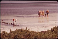 Tourists at the Public Beach near Long Key in the Central Florida Keys. Photographer: Schulke, Flip, 1930-2008. Original public domain image from Flickr