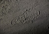 Illuminated by the flashlight of a U.S. Border Patrol Search, Trauma, and Rescue (BORSTAR) agent, a shoe-print of an illegal alien who had crossed the Rio Grande only moments before can be seen impressed in the dirt road along with other "sign" created by wildlife near Eagle Pass, Texas, June 20, 2019.