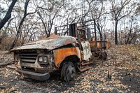 Post-bushfire recovery in Australia