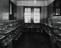 Parrots in detention at a San Francisco quarantine station. Interior view of a room with parrot cages stacked along the walls. Original public domain image from Flickr