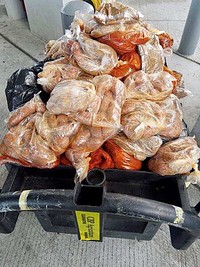 CBP Uncovers 201 Pounds of Pork in Engine Compartment; Agriculture Specialists Issue $1,000 Civil Penalty at Laredo Port of Entry
