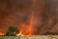 Pine Gulch Fire. The Pine Bulch Fire in Colorado. Photo by Eric Coulter, BLM. Original public domain image from Flickr