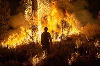 Ruby Mountain Hotshots. The Ruby Mountain interagency hotshot crew conducts burnout operations during the Dixie Fire, Lassen National Forest. Photo by Joe Bradshaw, BLM. Original public domain image from Flickr