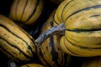 Sang Lee Farms, in Peconic, New York, transitioning to third generation, grows more than 100 varieties of specialty vegetables, including Delicate Squash (pictured),heirloom tomatoes, baby greens, herbs.