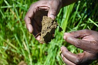 Keith Williams (left), Indiana NRCS planning team leader, checks the soil at a farm in Evansville, Indiana May 13, 2021.