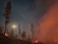 Litte Pine Fire. The Litte Pine Fire in Bonner County in Idaho. Photo by Ashley Stoneham, Idaho Department of Lands. Original public domain image from Flickr